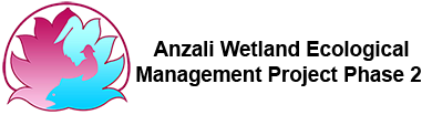 Anzali Wetland Logo