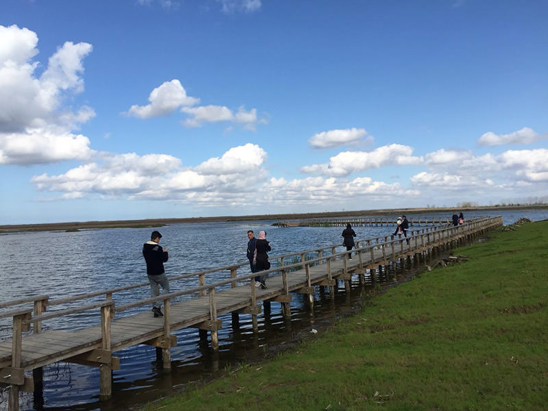 Public Open of Anzali Wetland Environmental Education Center for Visitors