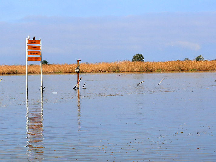 Boundary Signboard Installation anzali wetland